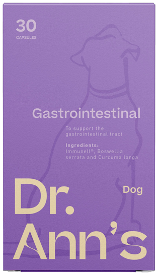 Dr. Ann's Gastrointestinal Support