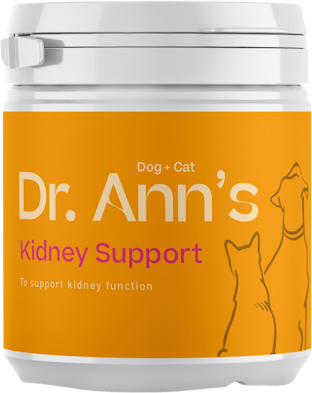 Dr. Ann's Kidney Support