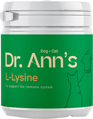 Dr. Ann's L-Lysine