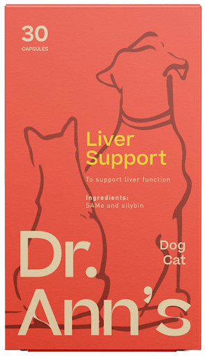 Dr. Ann's Liver Support