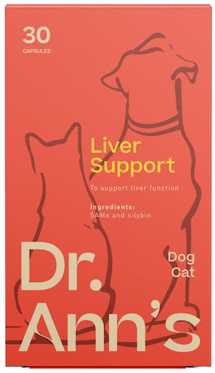 Dr. Ann's Liver Support