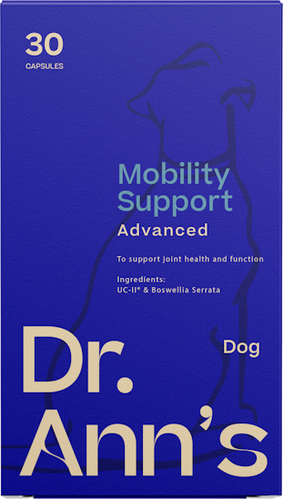 Dr. Ann's mobility support advanced