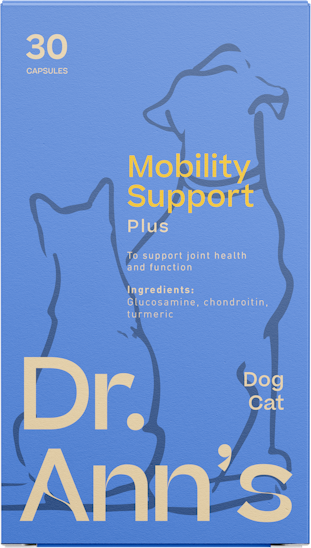 Dr. Ann's mobility support plus