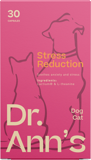 Dr. Ann's stress reduction